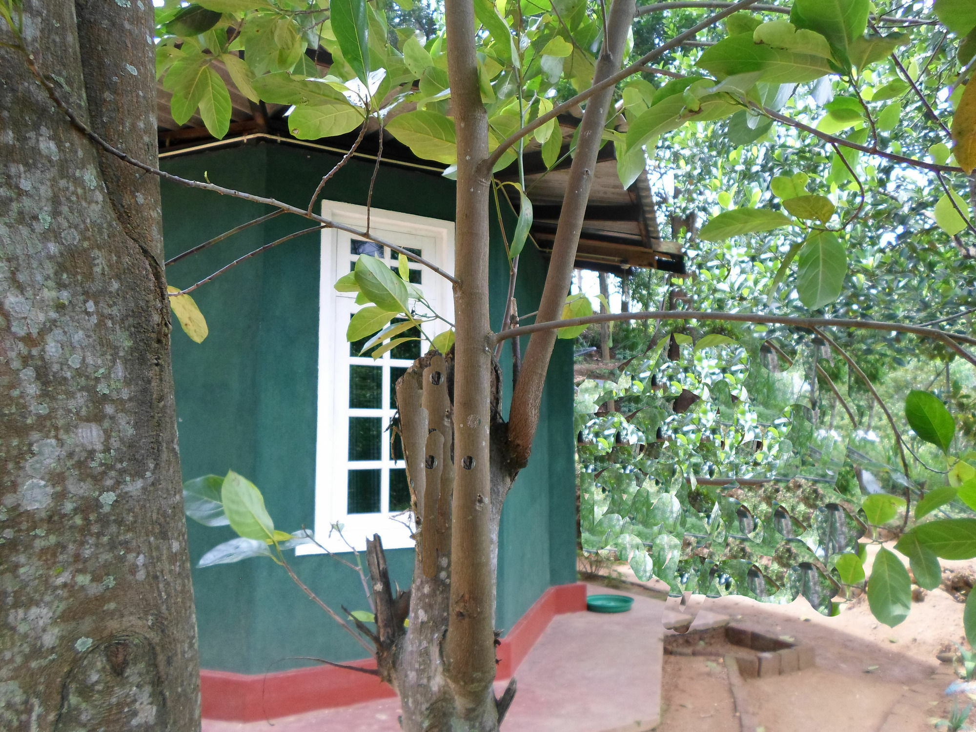 Green Lantern Ella Exterior foto